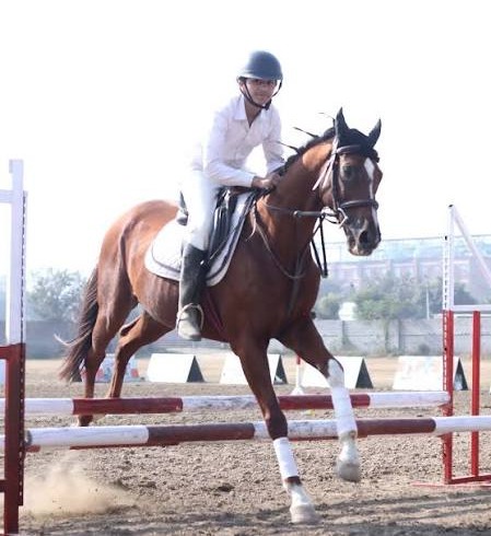 Horse and rider jumping